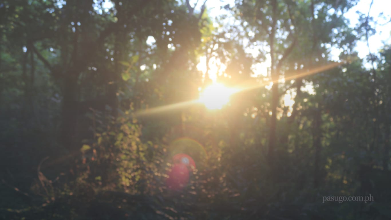 Is God really omniscient?