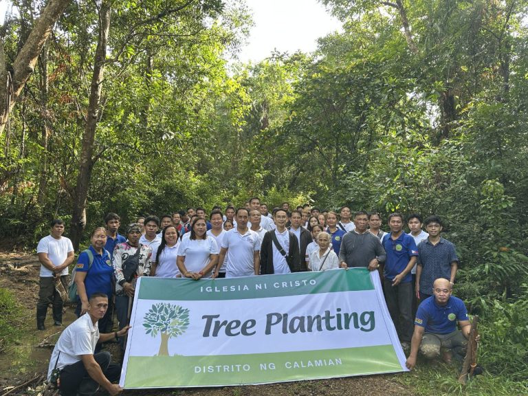 Calamian SCAN plants hundred taluto seedlings