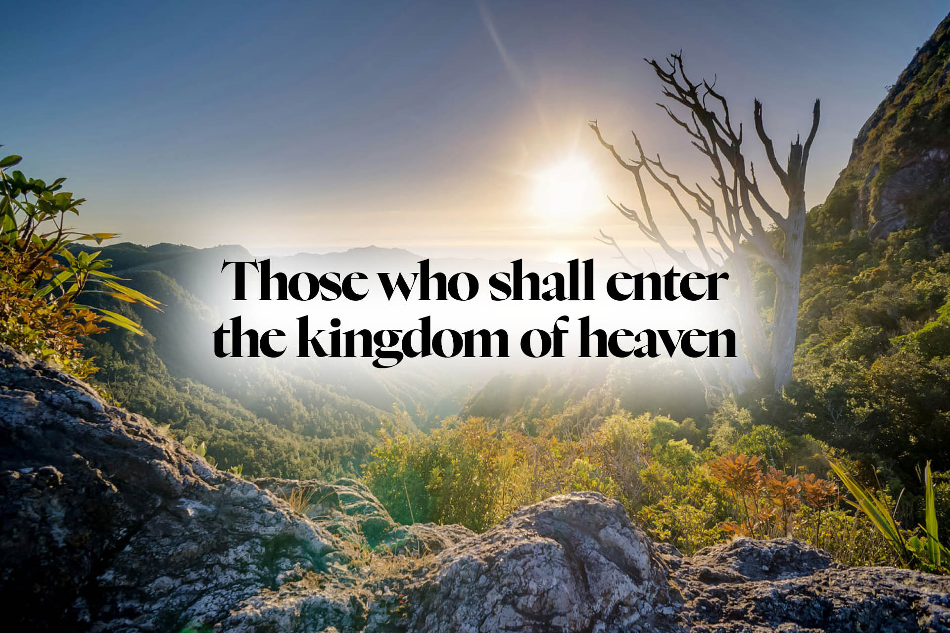 Those who shall enter the kingdom of heaven