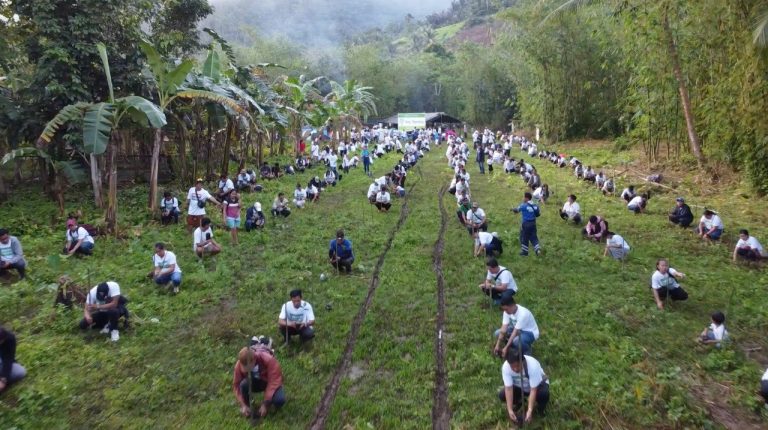 1000 seedlings planted at Sitio Bughaan, Capiz